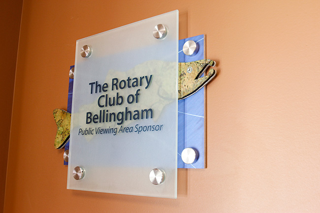 The Rotary Club of Bellingham Public Viewing Area Sponsor