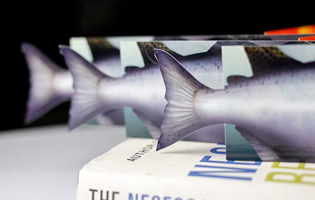 Skagit Watershed Council